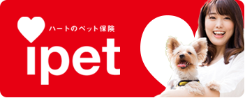 ipet