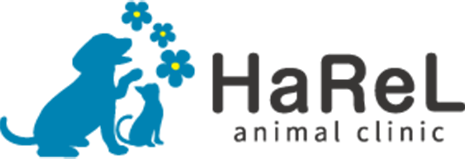 札幌清田区の動物病院なら犬・猫専門の動物病院ハレルアニマルクリニック